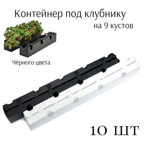 10�� ��������� ��� �������� �� 9 ������ ������ / ���� ��� ����������� �������� ������� / ������������� ����� 2599�