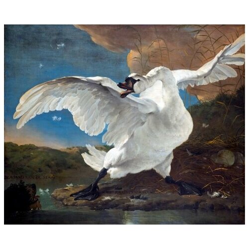     (Swan) 1   48. x 40. 1680