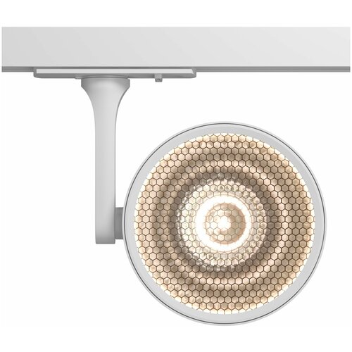 Maytoni �������� ������������ ���������� Maytoni Track lamps TR024-1-18W3K 5700�
