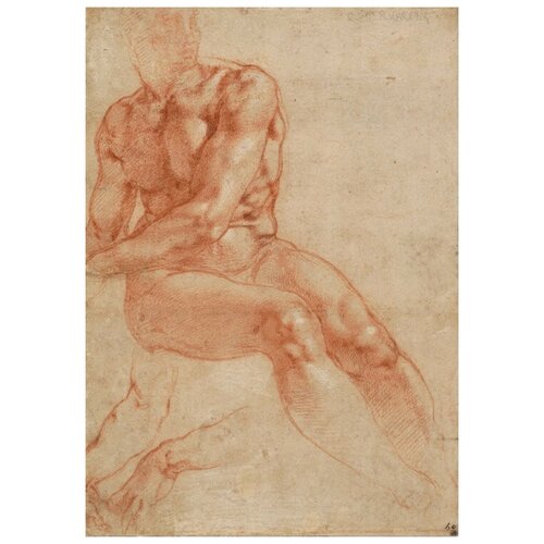            (), c. 1510-11  40. x 57. 1880