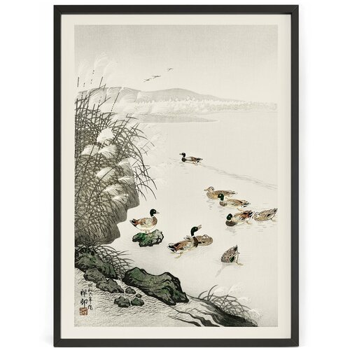       - - -    90 x 60   ,  1690  Nippon Prints