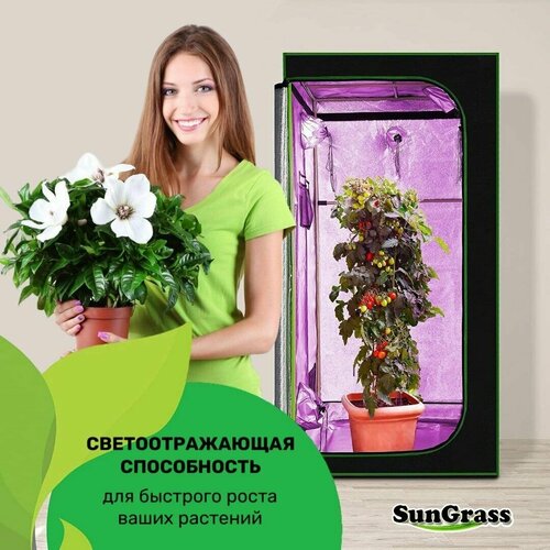 SunGrass /     /  VGT02 - 4040120  6111