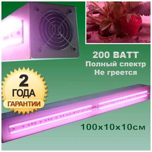Quantum Board (100x10��/200��) ��� �������� � ��������� 8800�