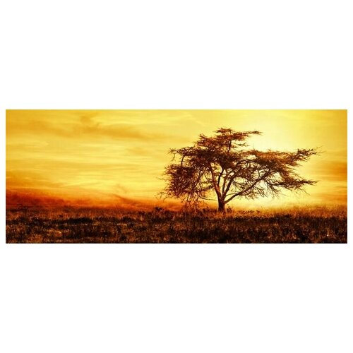        (Tree at sunset) 3 77. x 30. 2040