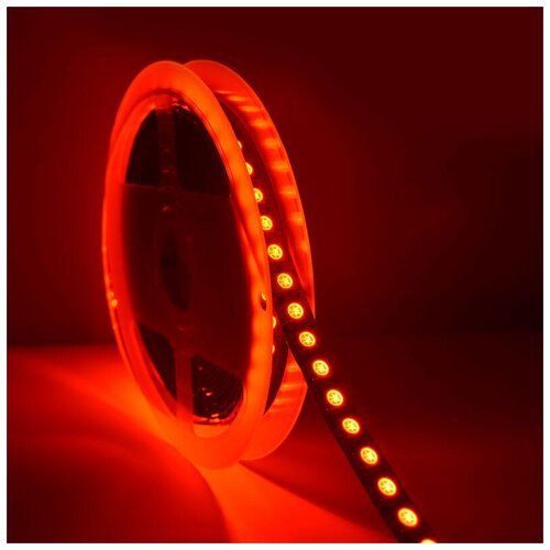   SMD 5050, 120 /, , , 24, : RGB, IP33 -  :RGB 4100