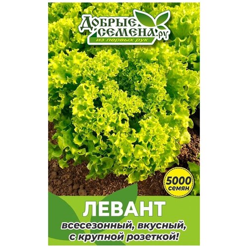 Семена салата Левант - 5000 шт - Добрые Семена.ру 1200р