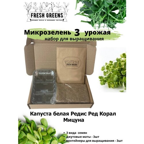Микрозелень для выращивания Набор Fresh Greens (Капуста белокочанная Редис Ред Корал Мицуна) 375р
