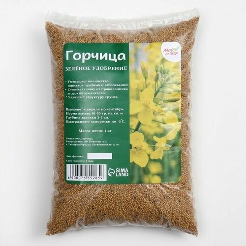Семена Горчица,, 1 кг 580р