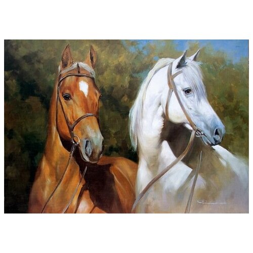     (Horses) 12 42. x 30. 1270