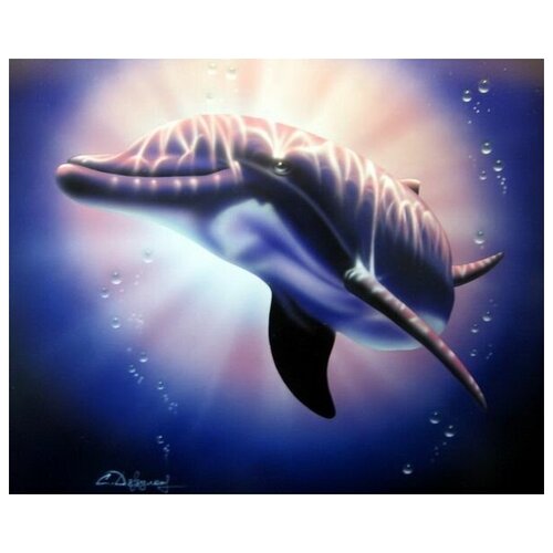      (Dolphin) 1 61. x 50.,  2300   