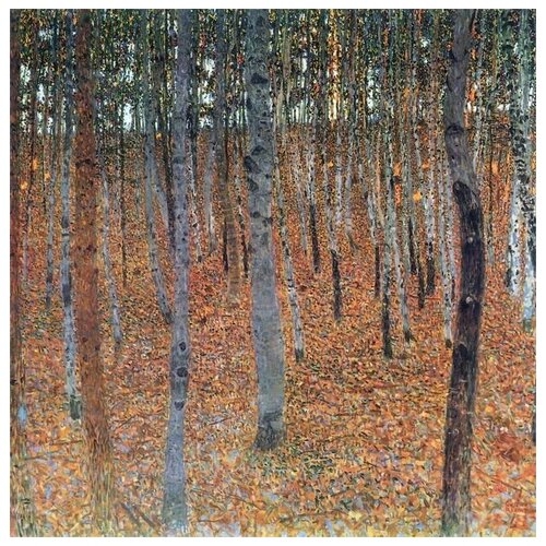      (Birch forest) 2   30. x 30. 1000