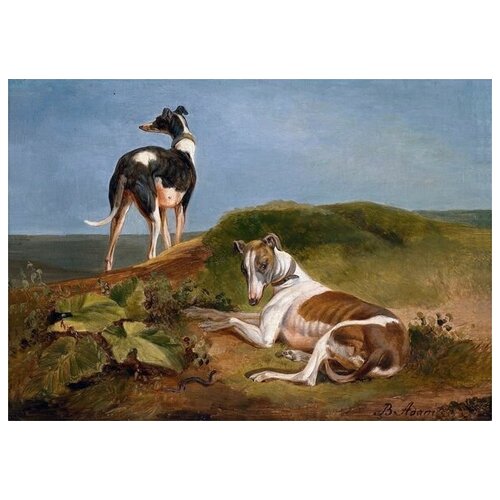      (Two dogs) 7 Benno Adam 42. x 30. 1270