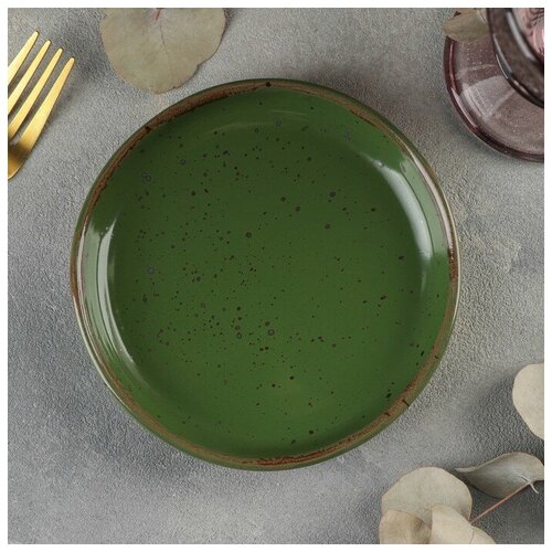 ����� Punto verde, d=13,5 �� 634�