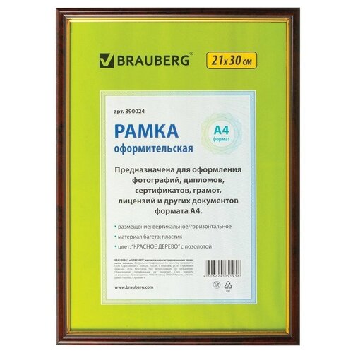 ����� 21�30 ��, �������, ����� 14 ��, BRAUBERG 