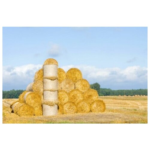 ������ �� ������ ���� ���� �� ���� (Haystack on the field) �2 45��. x 30��. 1340�
