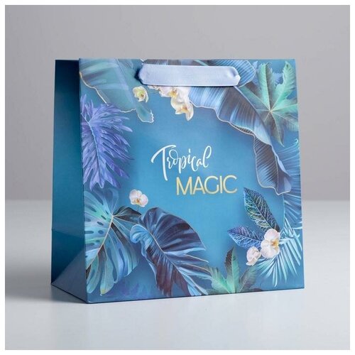 ����� �������������� ���������� Magic, 22 x 22 x 11 �� 399�