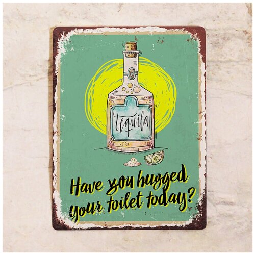 Жестяная табличка Have you hugged your toilet today?, металл, 30Х40 см 1275р