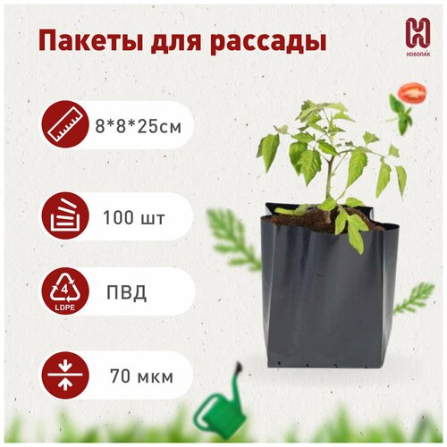 ����� ��� ������� 1,3�, 100 ��. 299�