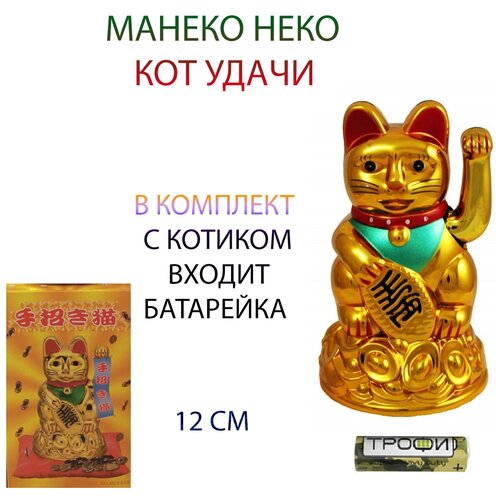������� ��� ������� 12 �� ������ ���� ������� ������� ����� ��������� �������� ��� ��������� ������� 799�