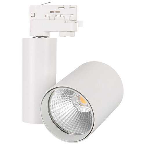 ���������� LGD-SHOP-4TR-R100-40W Warm SP3000-Fruit (WH, 24 deg) (Arlight, IP20 ������, 3 ����) 4885�