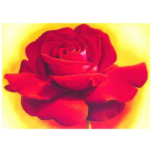      (Rose) 13 70. x 50.,  2540   
