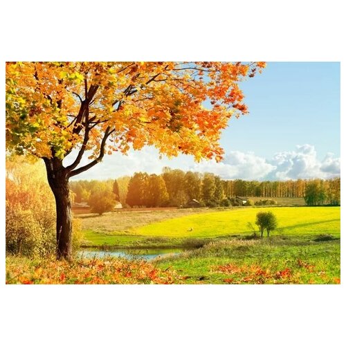      (Autumn Landscape) 14 45. x 30. 1340