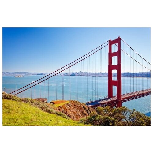       (The Golden Gate Bridge) 1 60. x 40. 1950