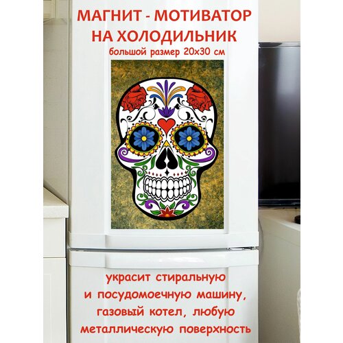 ����� ������ ������ �� ����������� 20 �� 30 �� 790�