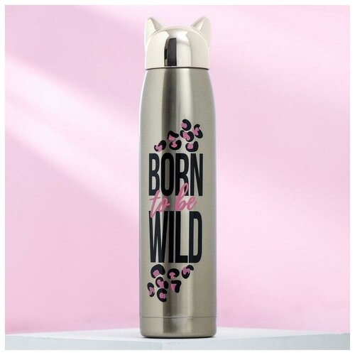   Born to be wild, 350 ,   12-14 ,  1379  NoBrand