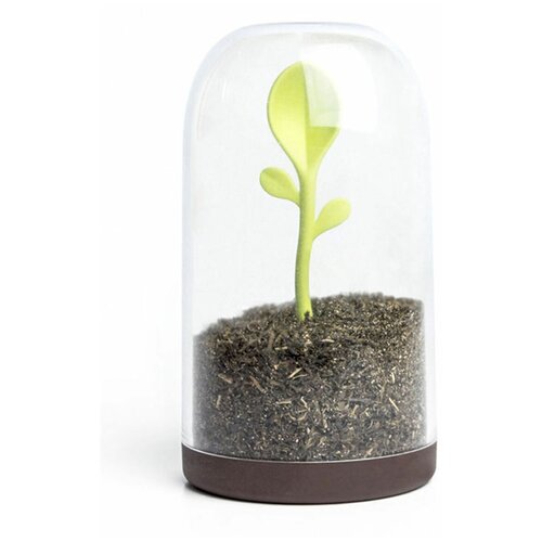     Sprout Jar, Qualy, QL10205-BN 1389