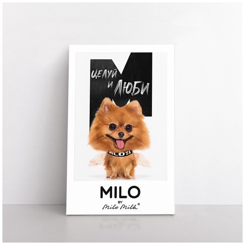 ���������� ������ MILOTA ���� 