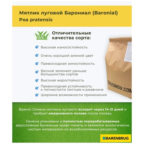 Семена газона Мятлик луговой сорт Барониал Barenbrug (3 кг) 4500р