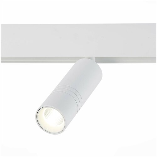 �������� ���������� ST Luce Lemmi ST365.546.12, �����, LED 12 3950�