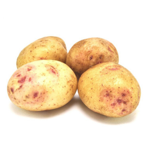 купить Семенной картофель синеглазка (суперэлита), стоимость 899 руб жизнь фермера