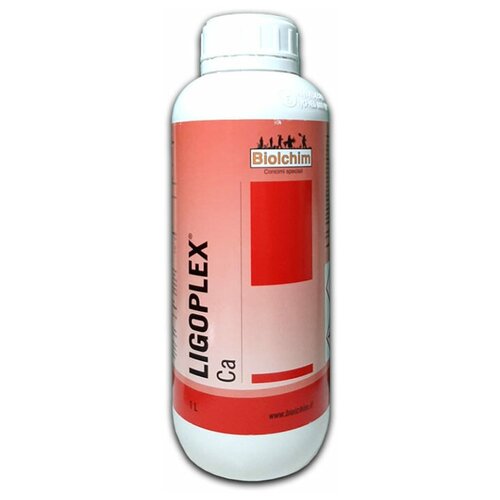 ��������� ������� ��������� Ca (BIOLCHIM LIGOPLEX) ������� � �������� ���������, 1 � 1999�