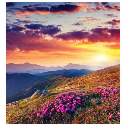         (Flowers in the mountains at sunset) 3 30. x 32. 1060