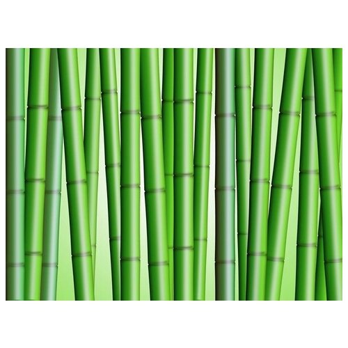     (Bamboo) 8 53. x 40. 1800