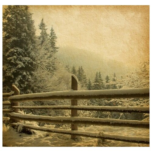        (Snow on the wicker fence) 42. x 40. 1510
