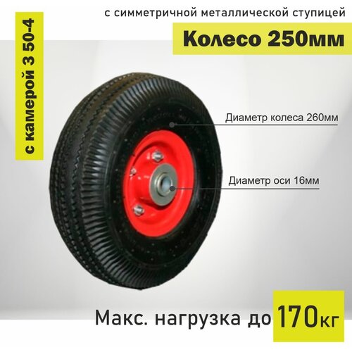������ � ������������ ������������� �������� (250 ��; 16 ��; ��������������) 3 50-4 650�