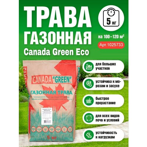 Газонная трава семена 5 кг, газон Низкорослый ЭКО, Канада Грин семена газона 1690р