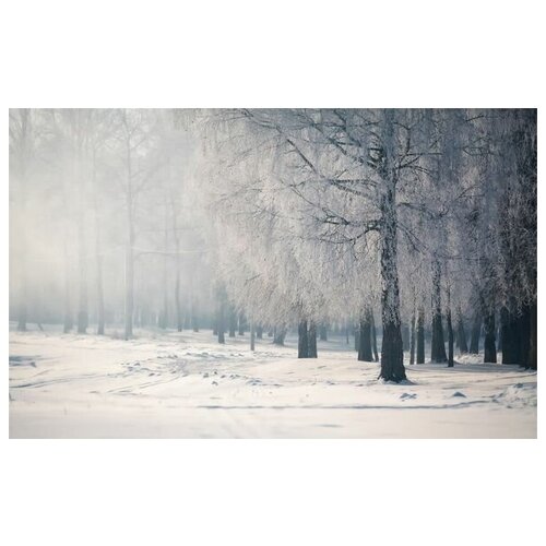      (Winter forest) 3 64. x 40. 2060