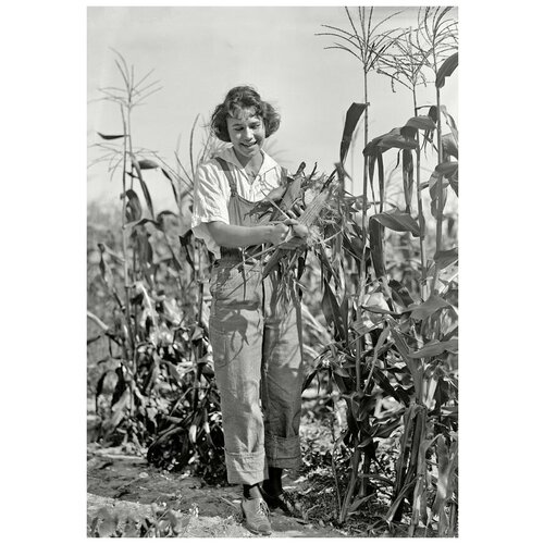        (A woman in a field of corn) 30. x 43. 1290