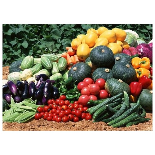     (Vegetables) 1 70. x 50. 2540