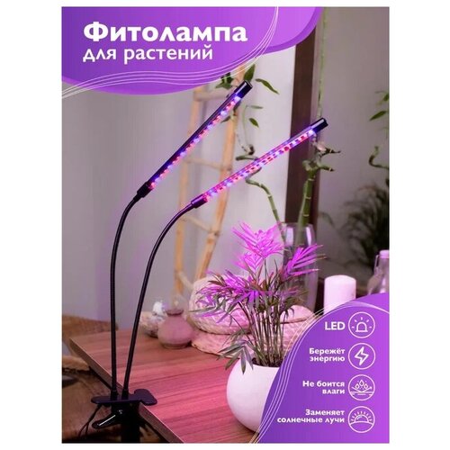 ��������� / ���������� ��� �������� / �� �������� / Beelight 1150�