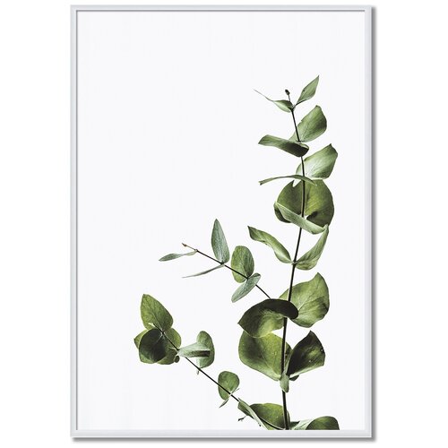 ������ � ����� ����� Postermarkt 