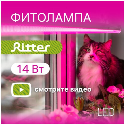     Ritter Planta 56297 9,  832  Ritter