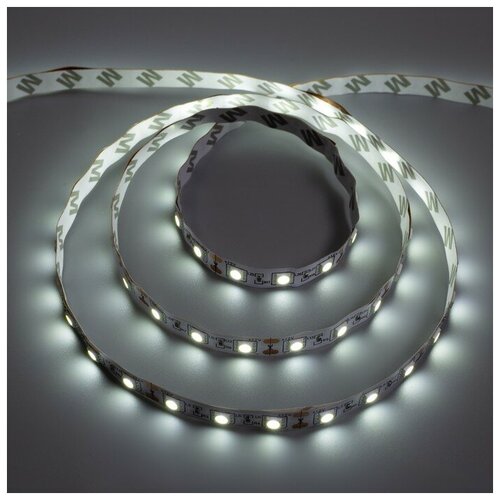   Ecola 3 , IP20, SMD5050, 60 LED/, 14.4 /, 12 , 6000 513