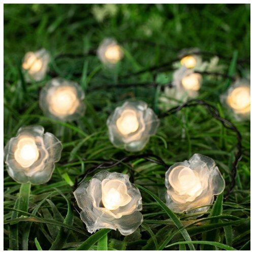   4.5    , IP44,  , 30 LED,   , 2 ,   1268