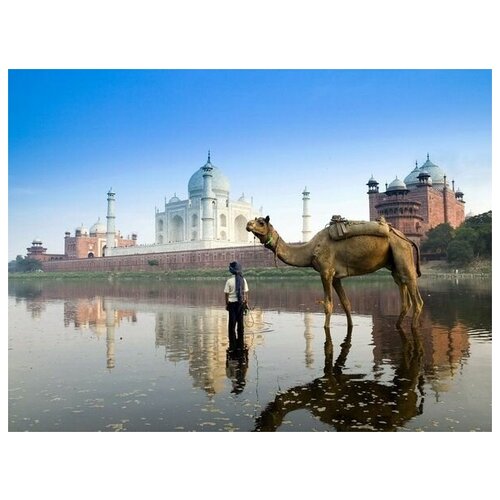       (Palace of India) 3 67. x 50. 2470