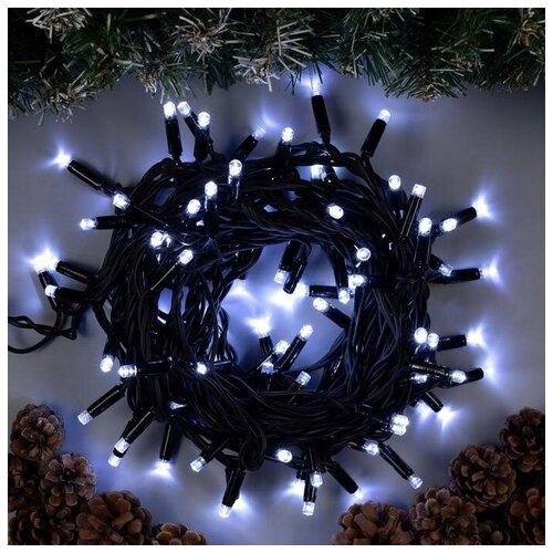   10 , IP65, ,  , 100 LED,  , 220  2988